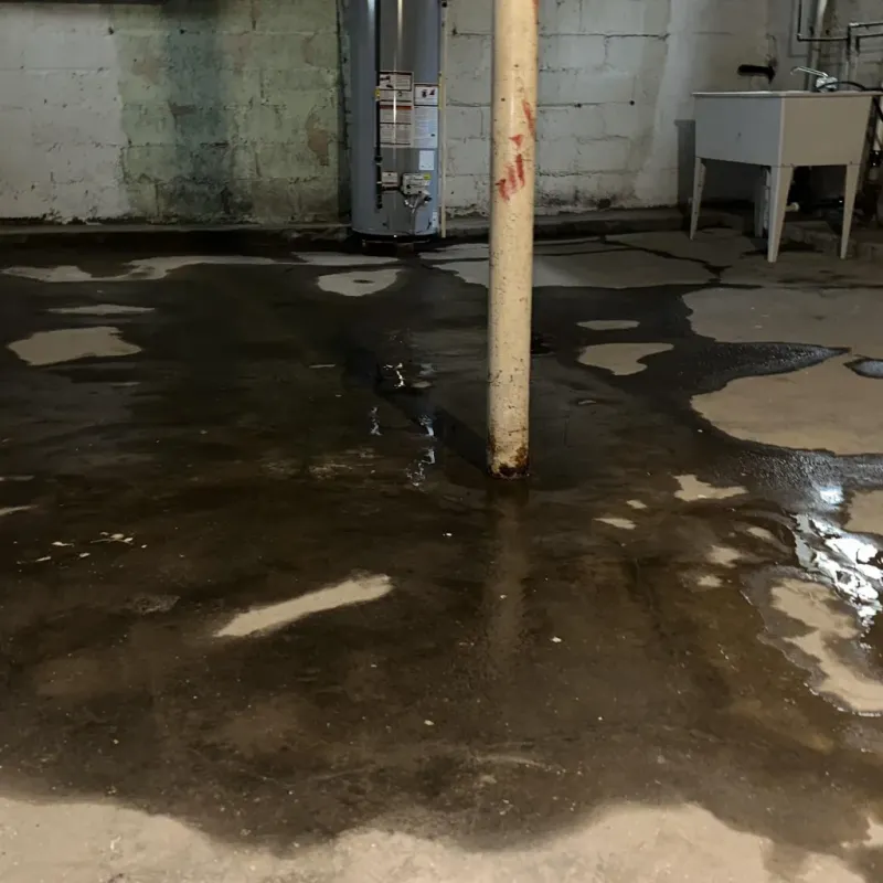 Emergency Water Extraction And Removal in Buena Park, CA